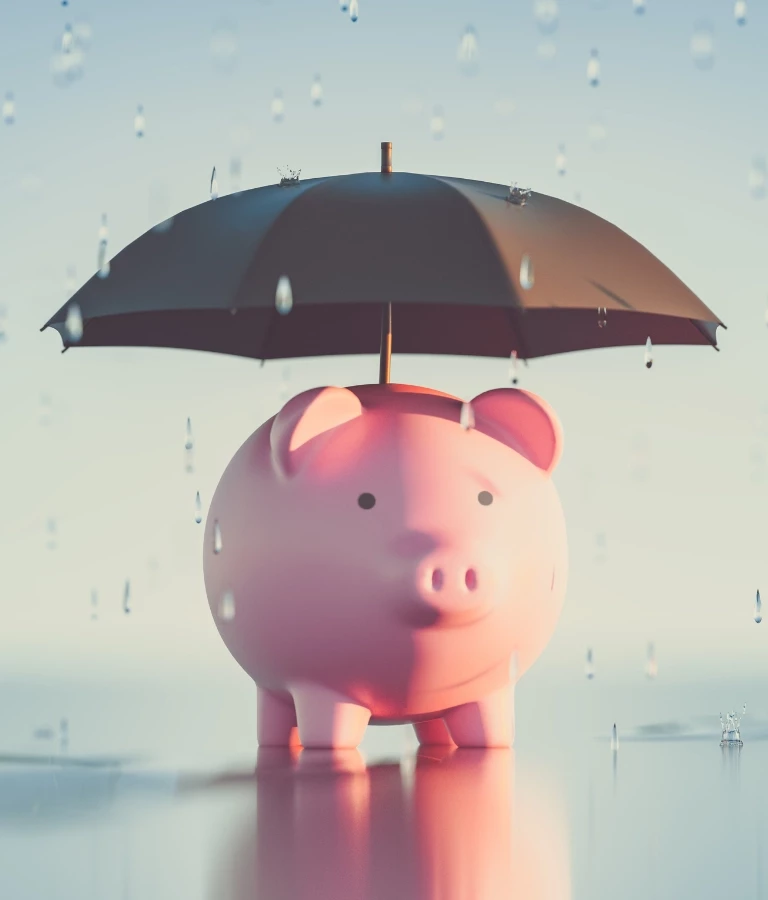 Ubezpieczenia Finansowe świnka skarbonka pod parasolką ochrona